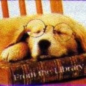 Meet your Posher, Barbara